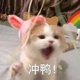 旺旺仙贝