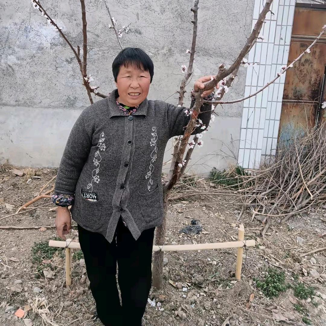 秦