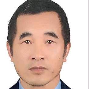 红木松