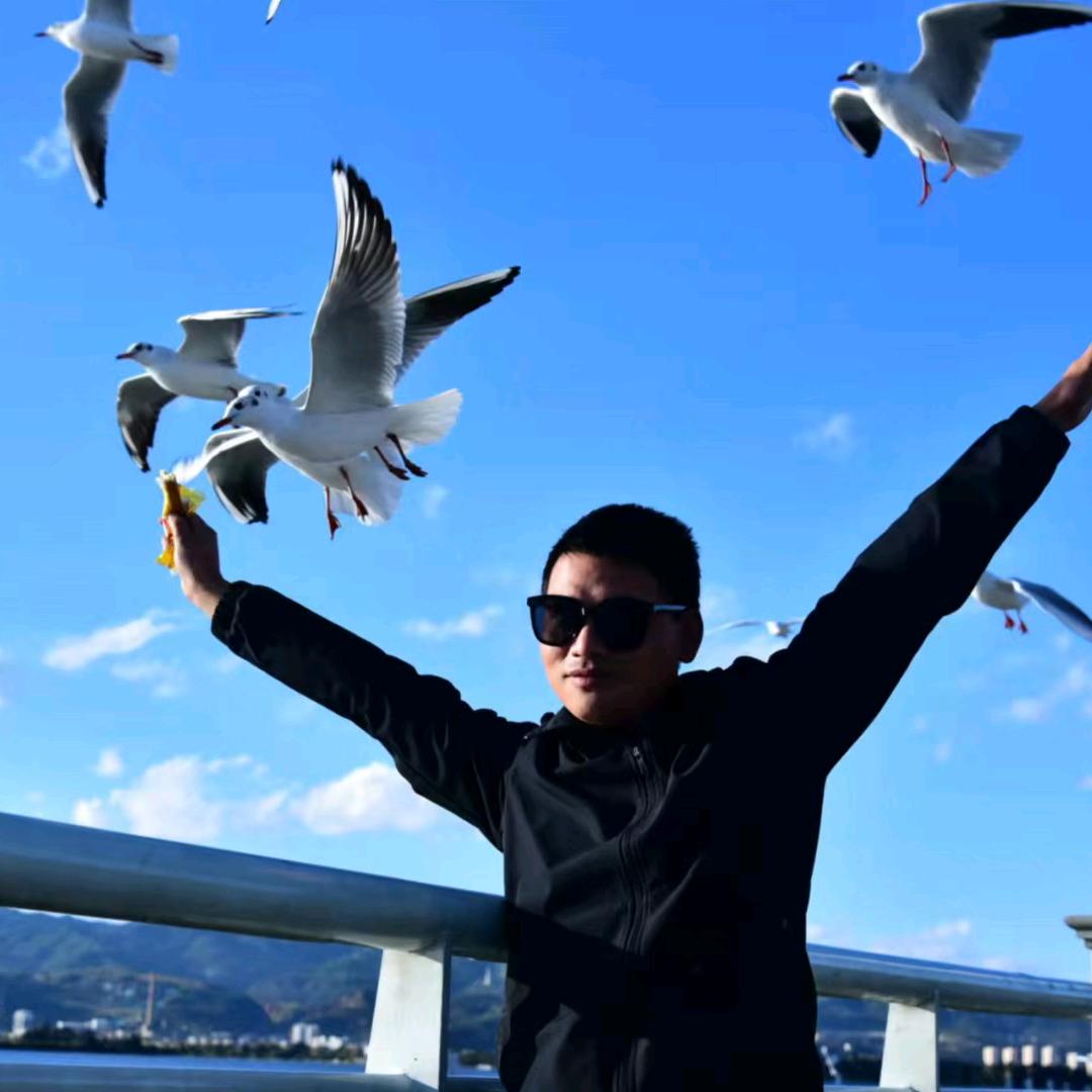 输过败过但不曾怕过