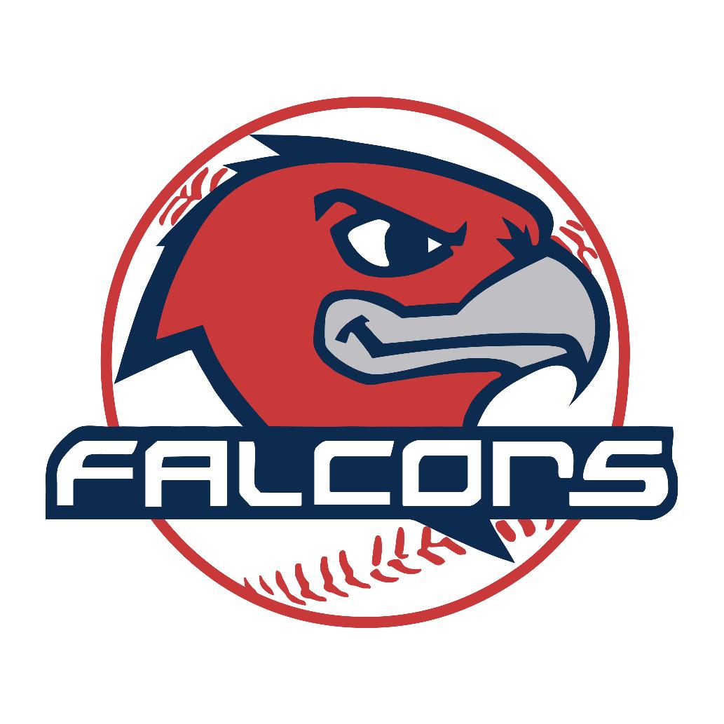 Falcons棒球小分队