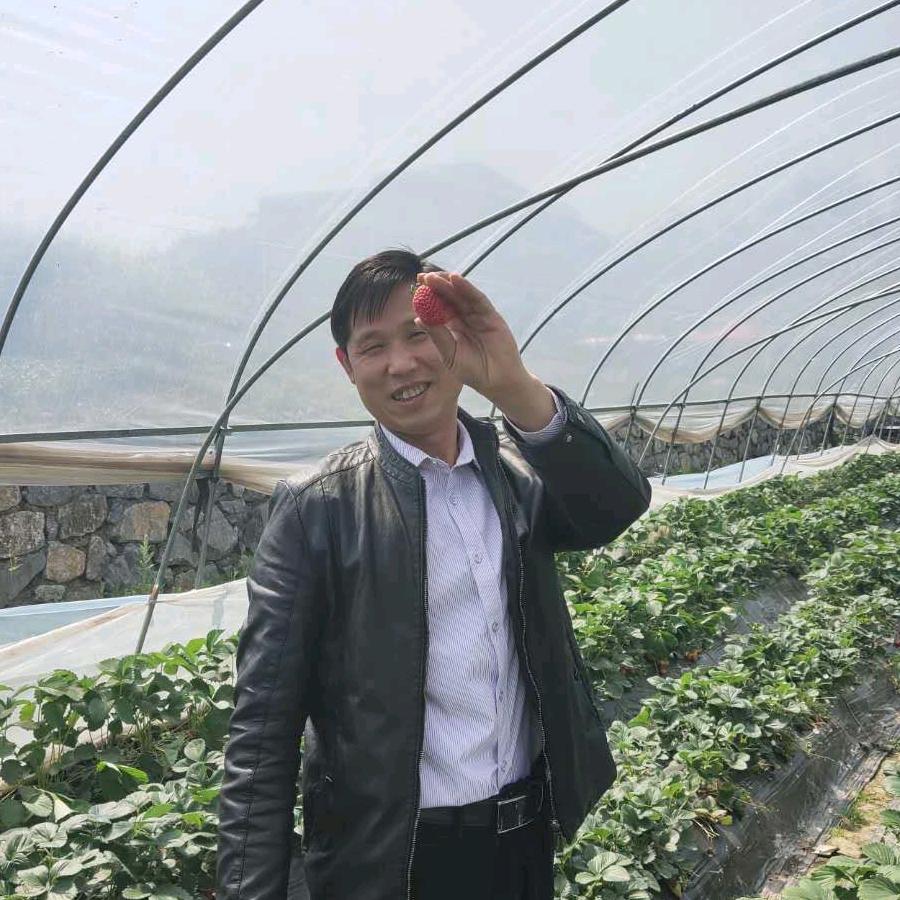 工地罗哥改行经商了