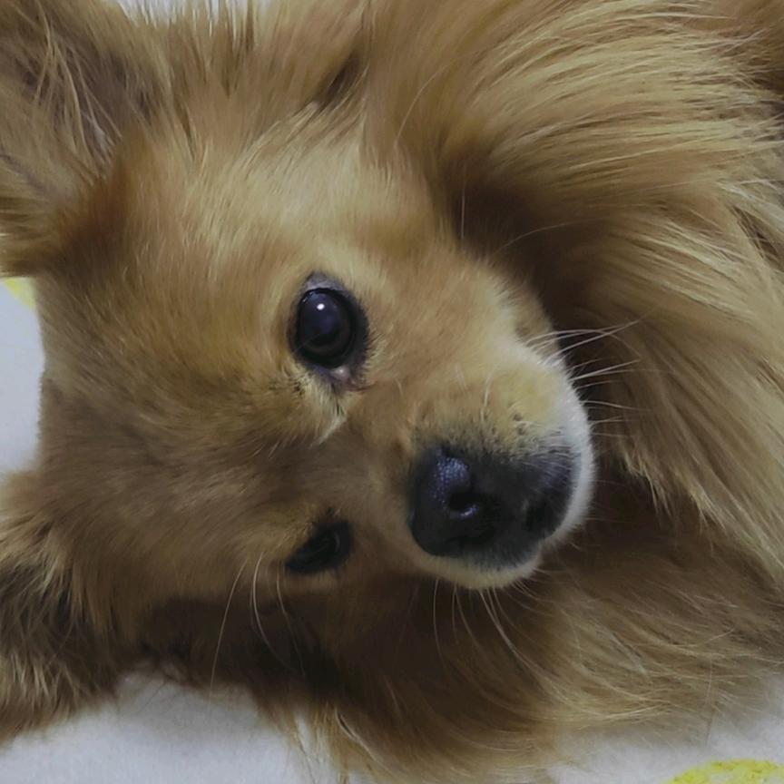 ˶‾᷄ꈊ‾᷅˵wow~收到🎁