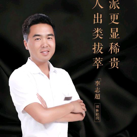 金地雍阳印销售李志超