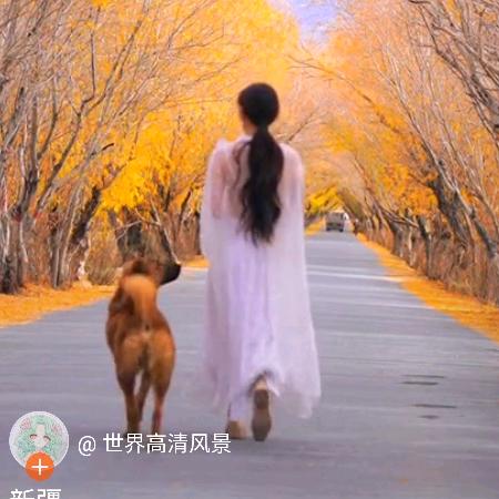 慕容小玉