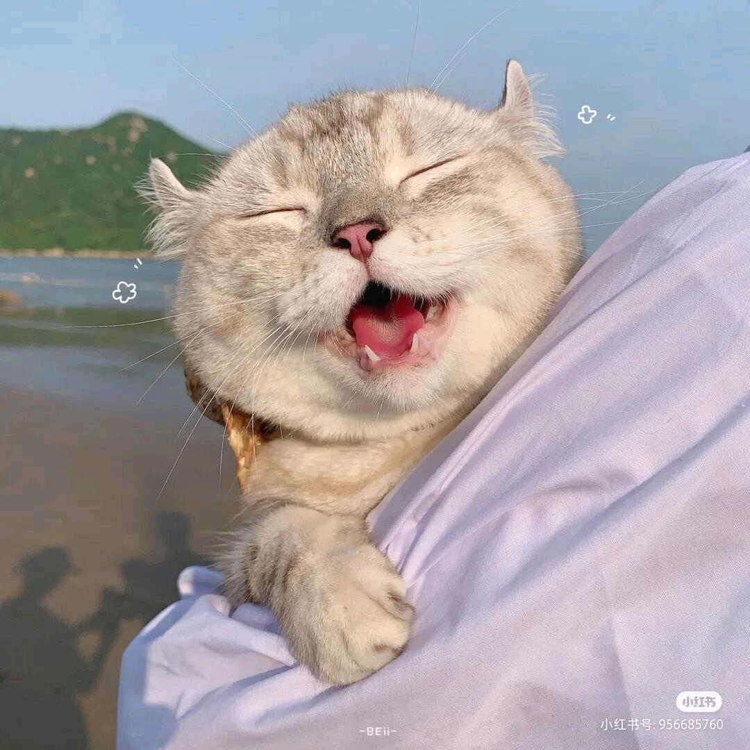 久了久了就旧了