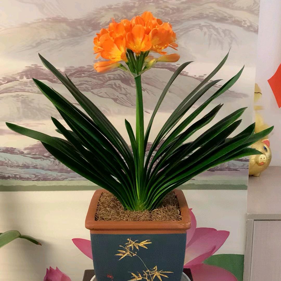 英英