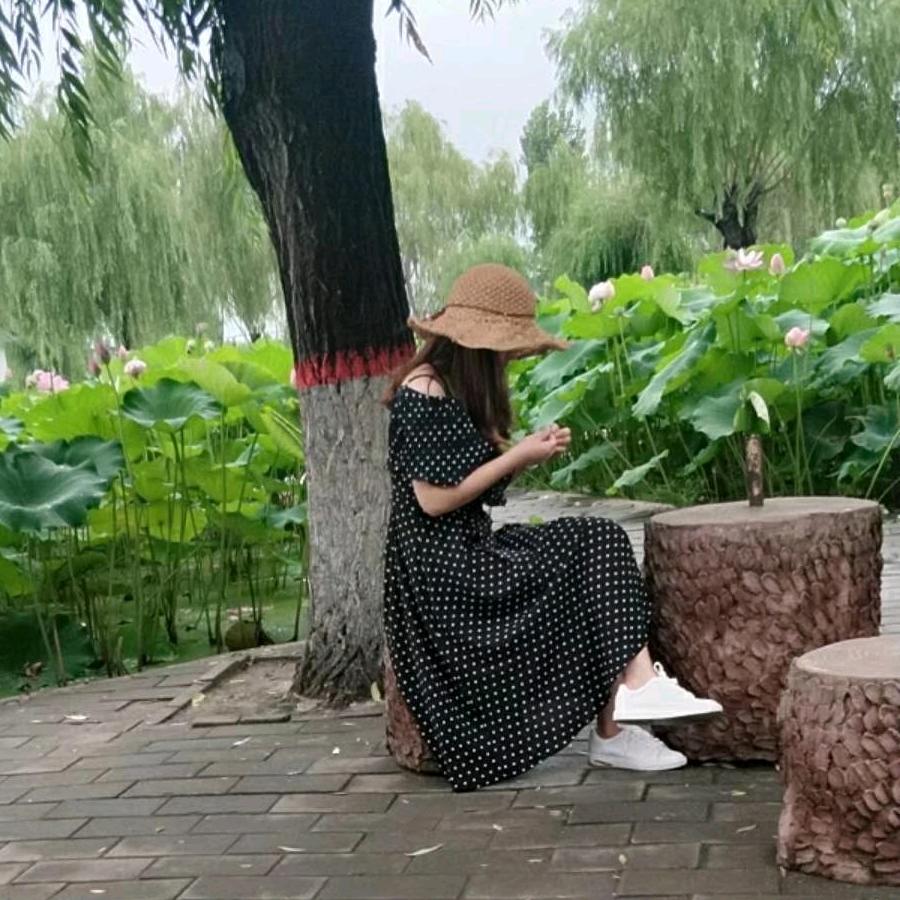 莫失莫忘°C