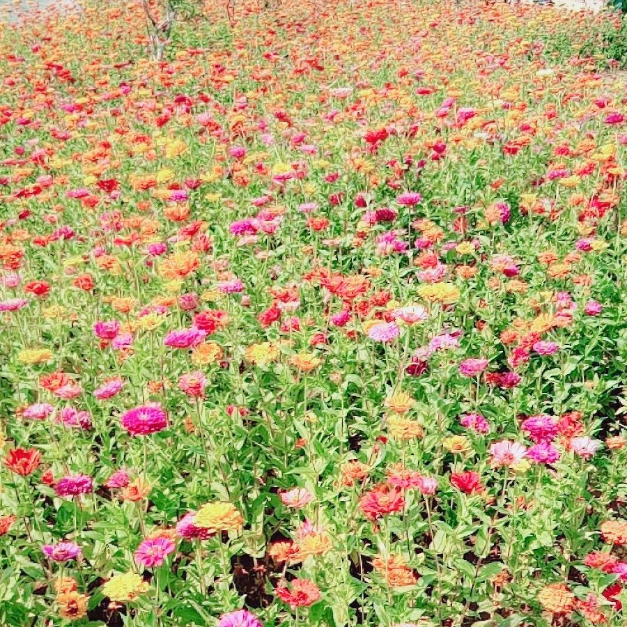 向往美好的人生