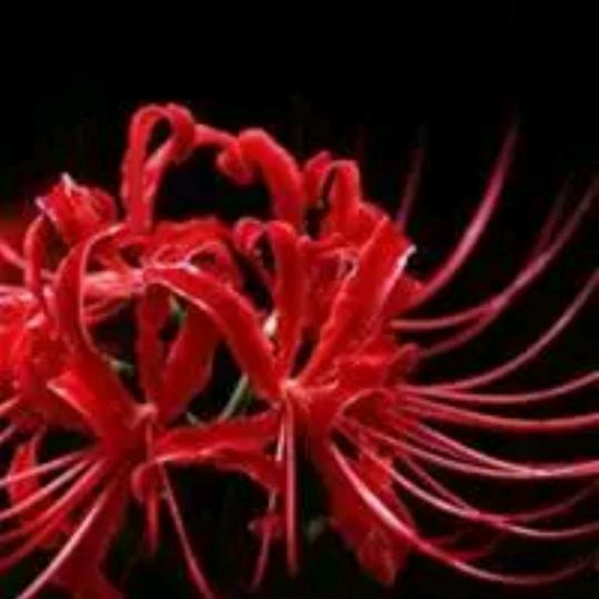 帅哥你好像真帅