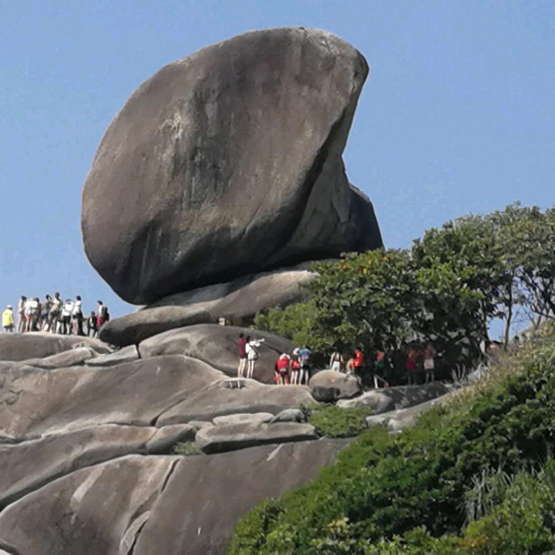 文华家瑞～实木弯曲