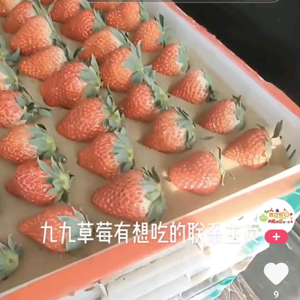 ꦿོ⁵²⁰典当ℒོ