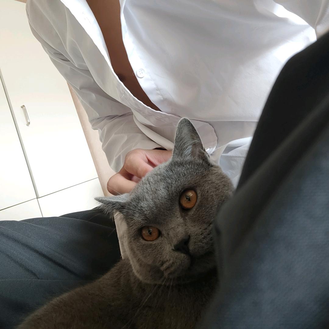 南枝
