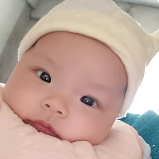 @吉祥三宝好物分享