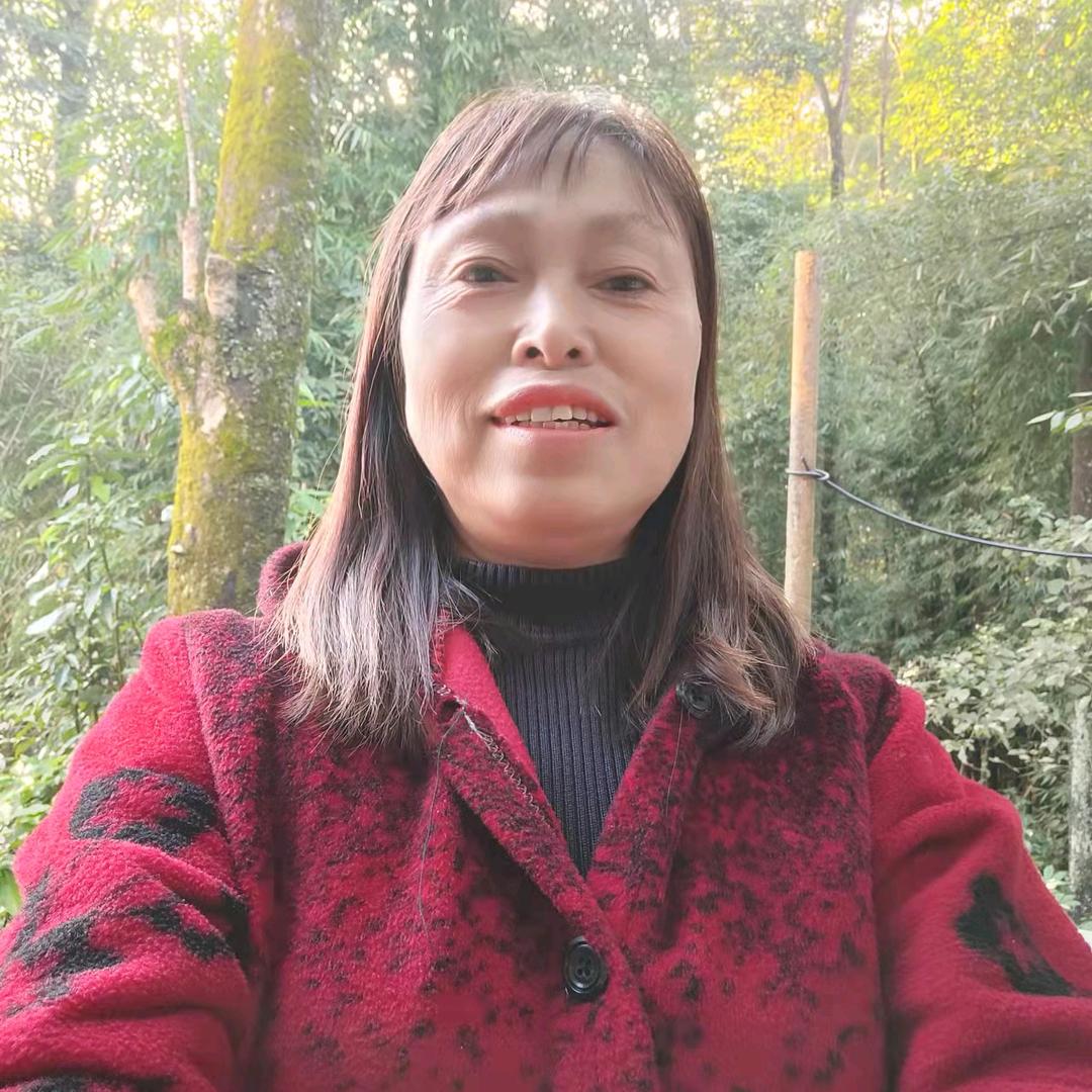 天天好运来