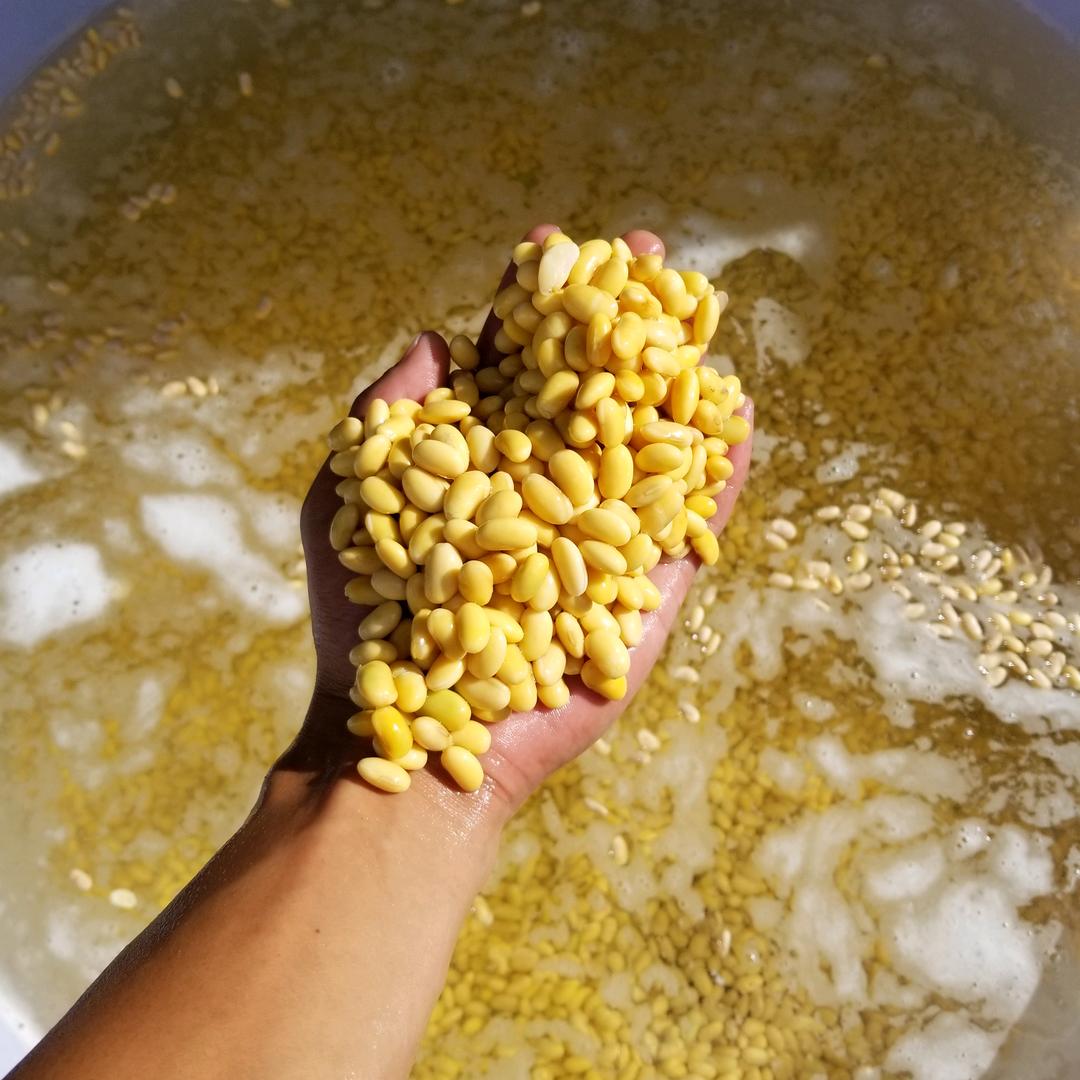 豆腐佬日常