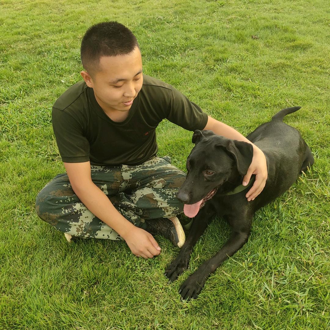 kk训犬