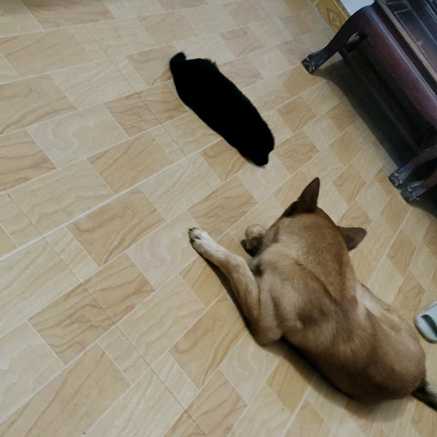 独爱