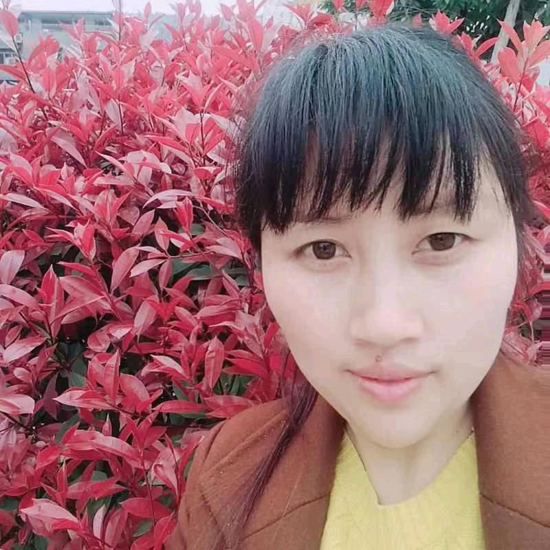 微萌的记忆