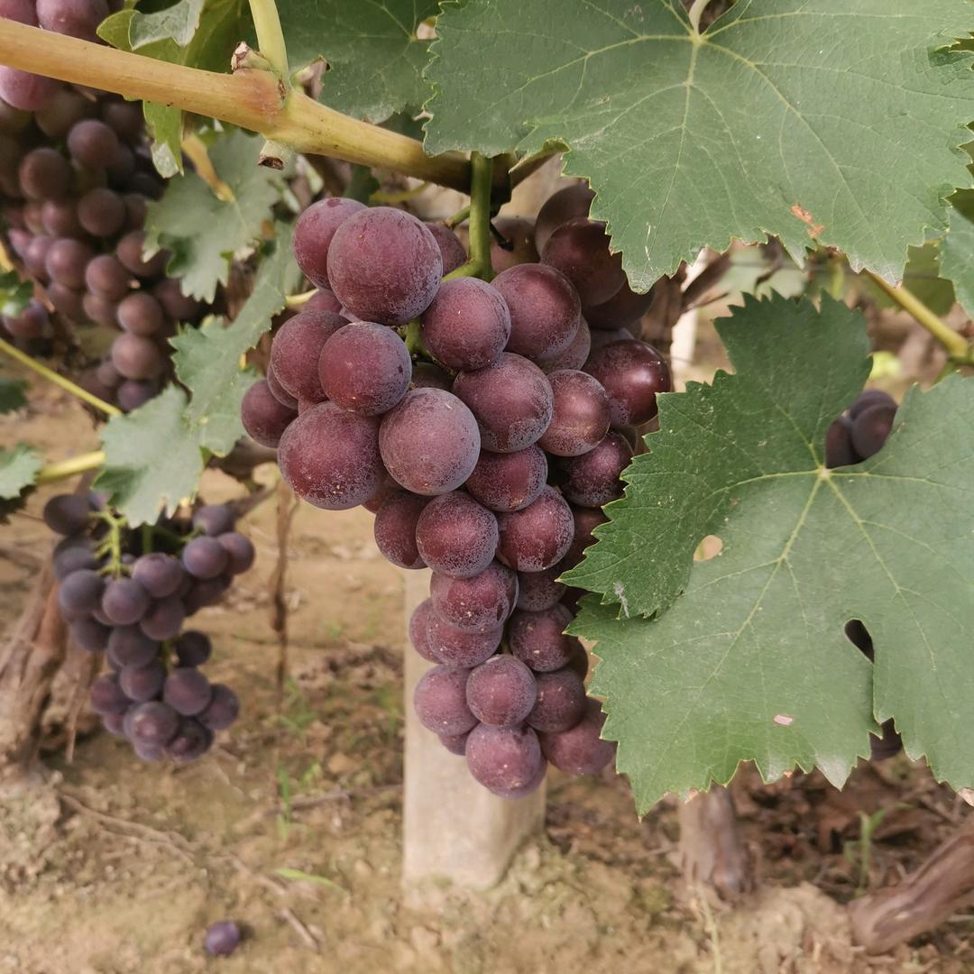 笑着面对每一天