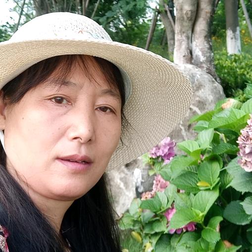 我爱你，，，故乡