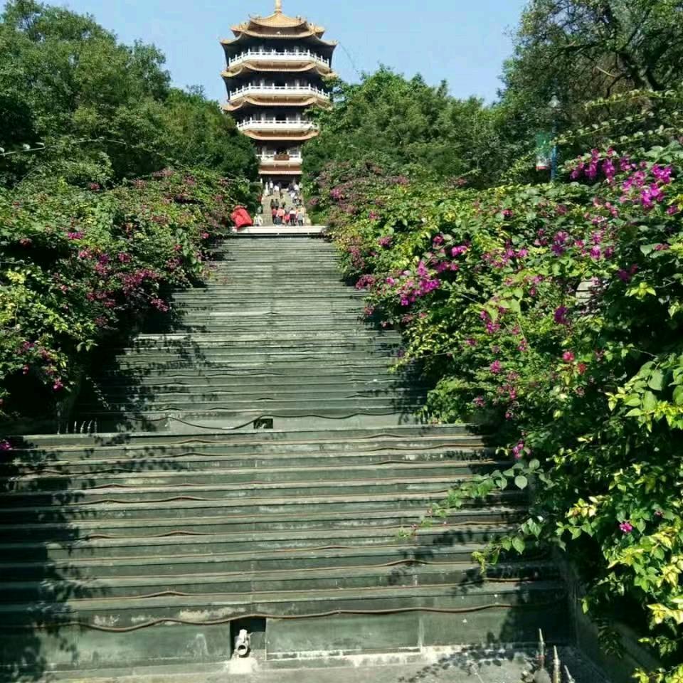 好不容易有今天
