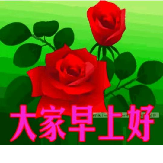天高云淡情不淡