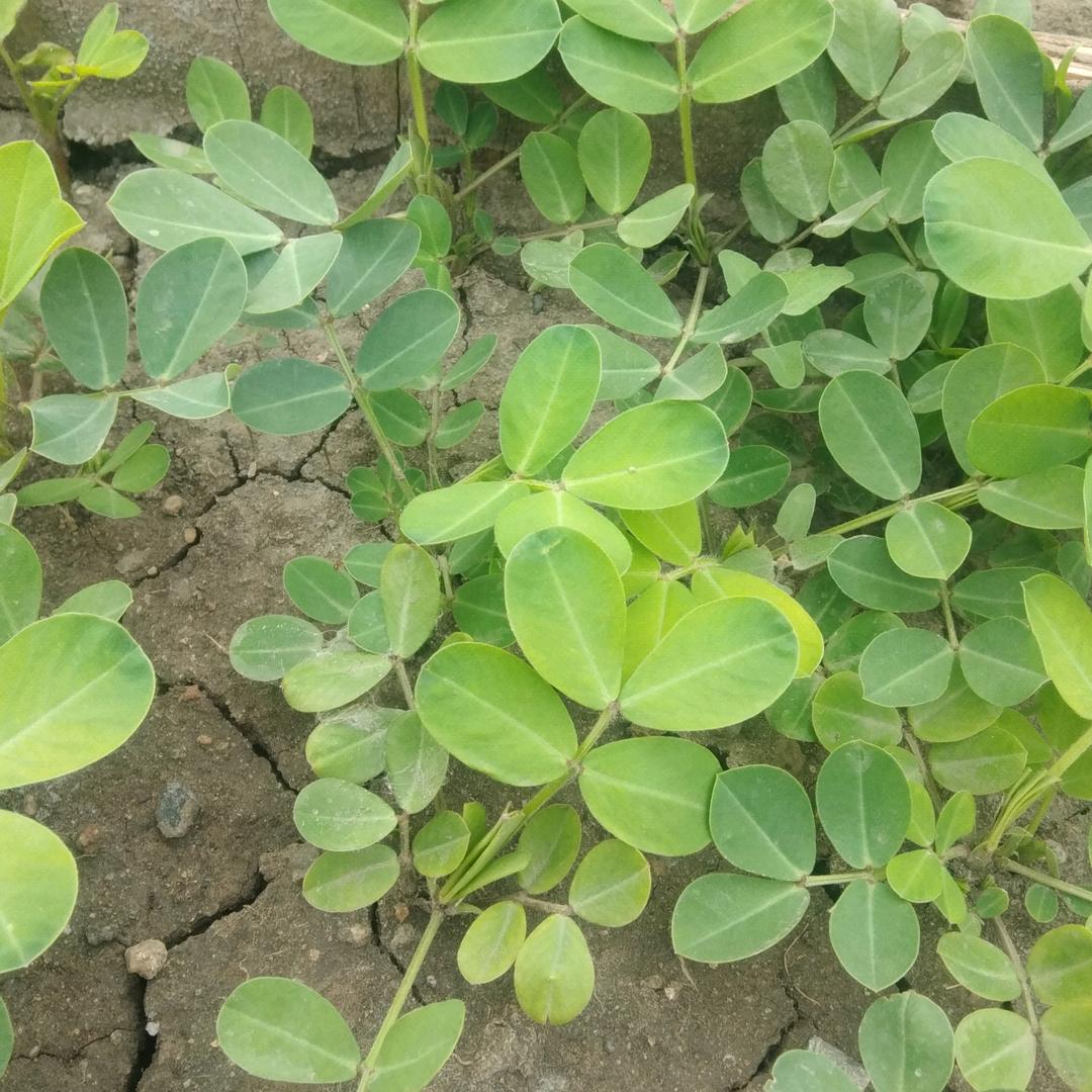 用户4090375325108张总