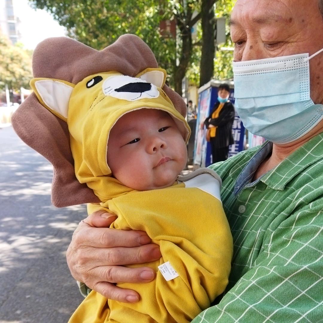 年糕驴