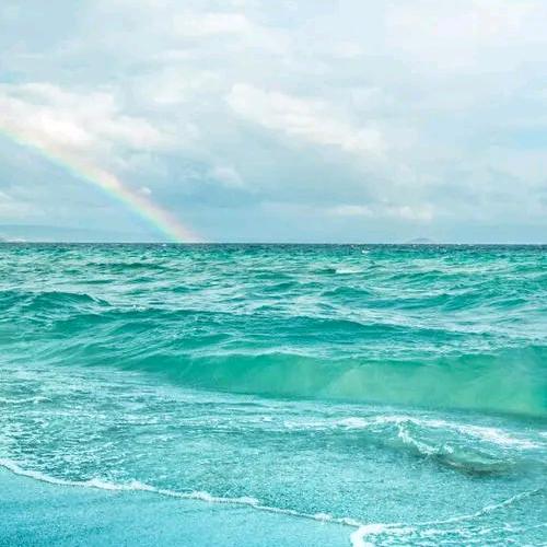 海洋之心