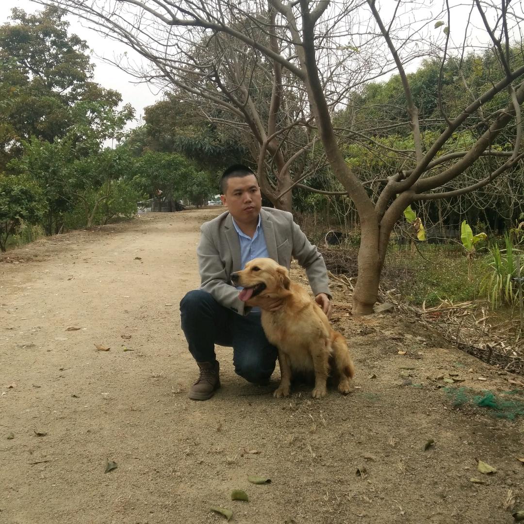 村支书阿牛