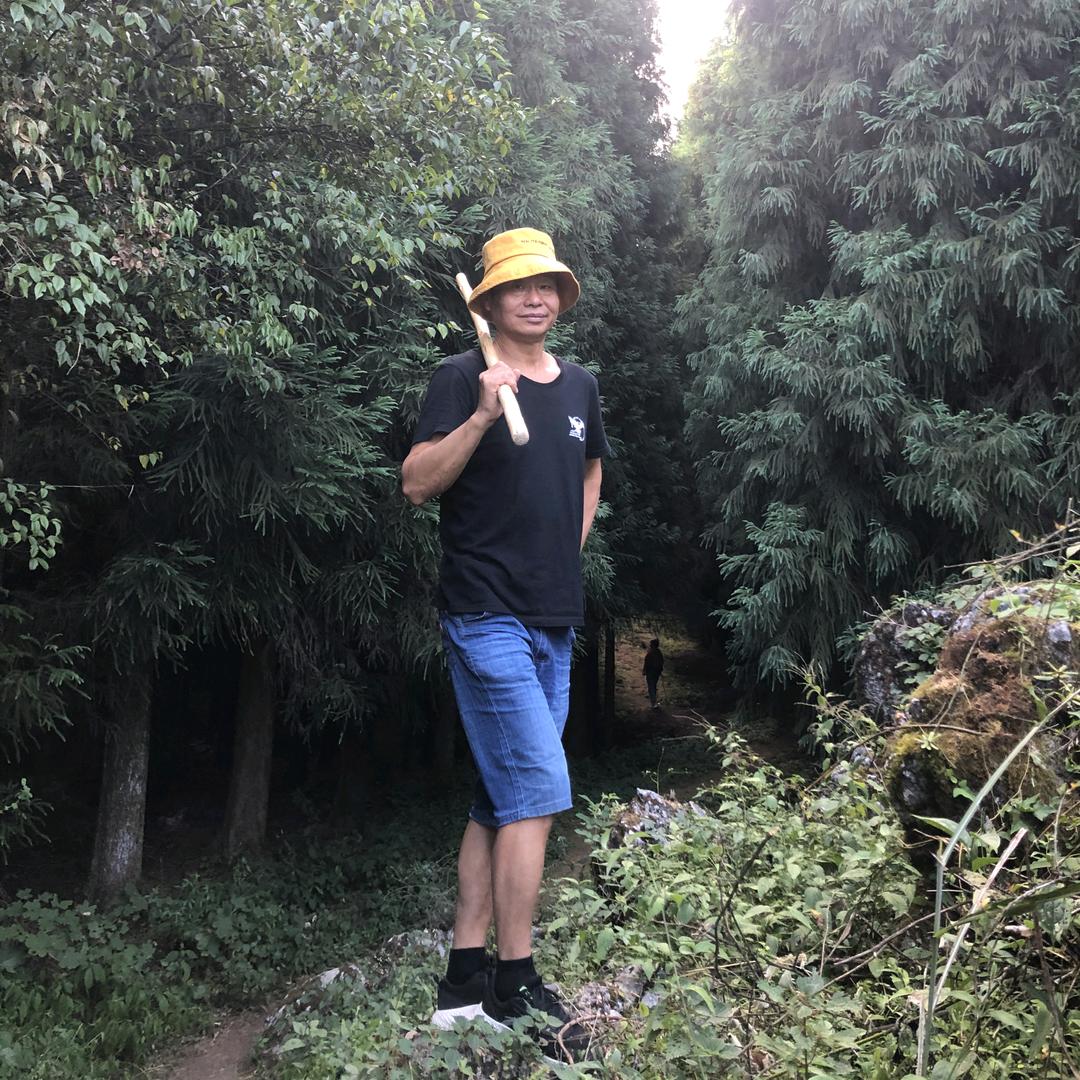 荣耀天空