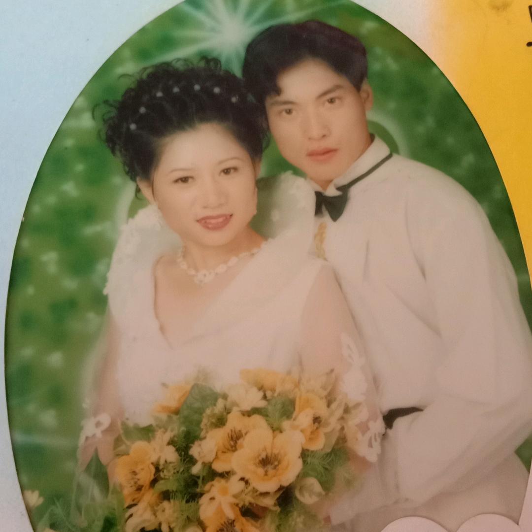慧智兰欣