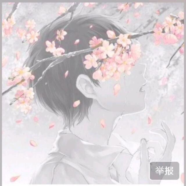 倾城丶清风