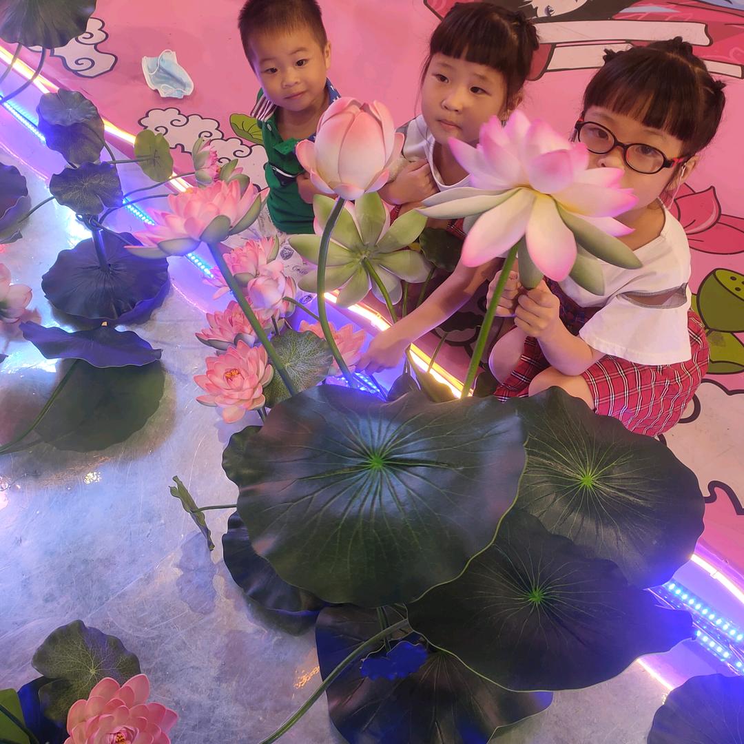 小苹果🍎