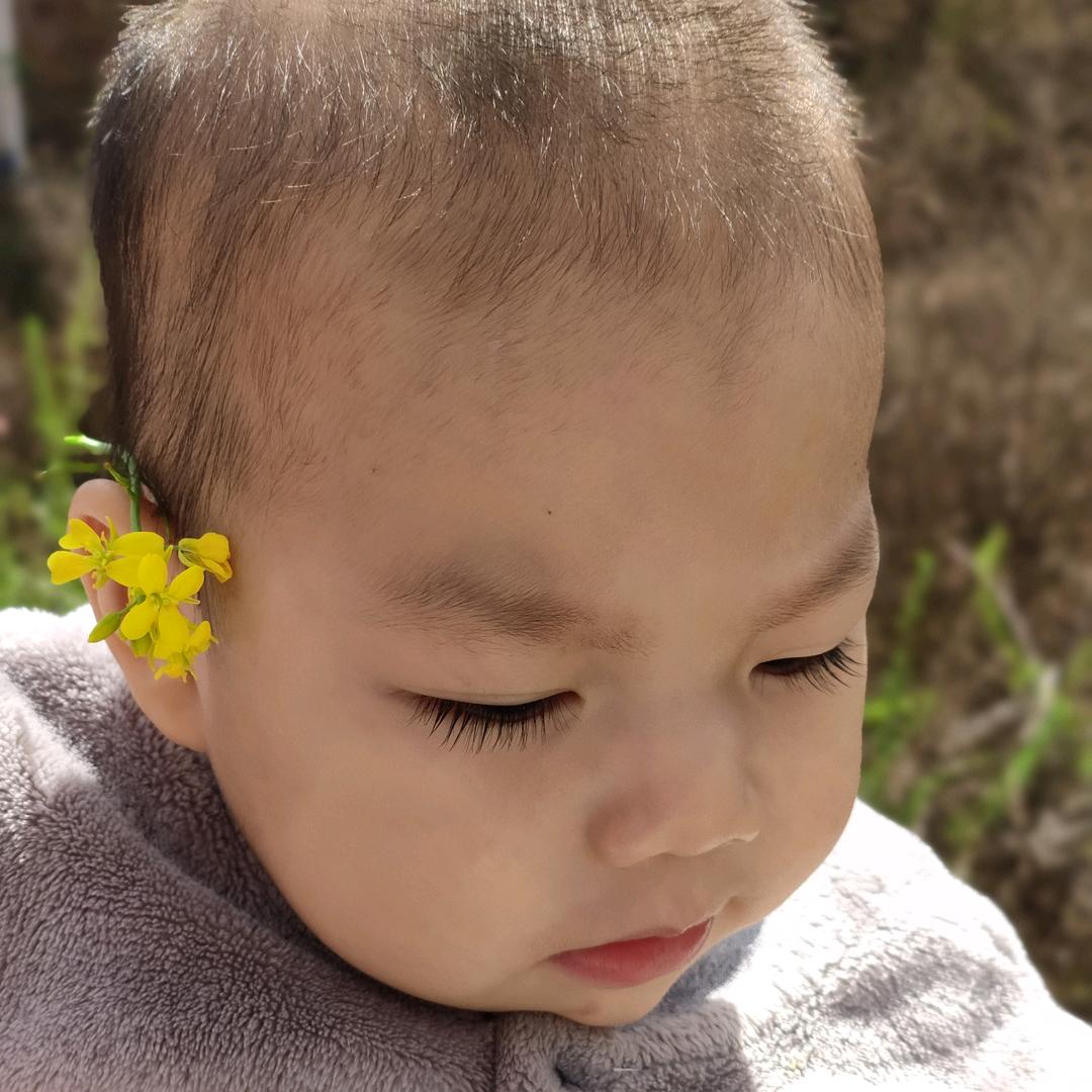 菲菲