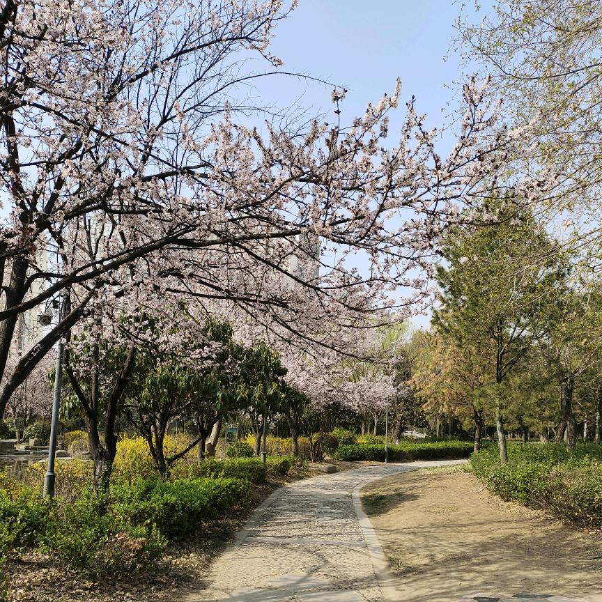 用户2949687688919问道自然