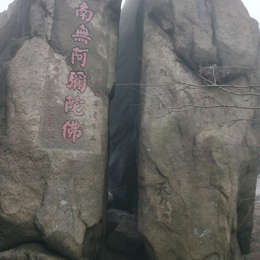 步步高