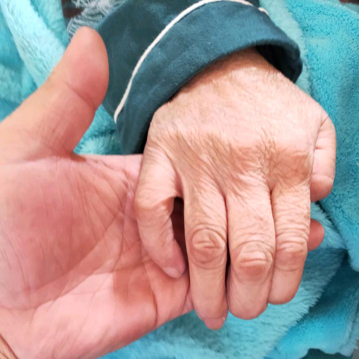 永 不放弃