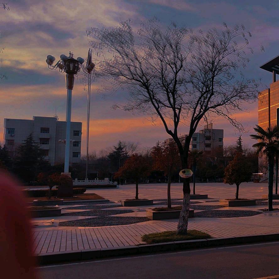 禾安