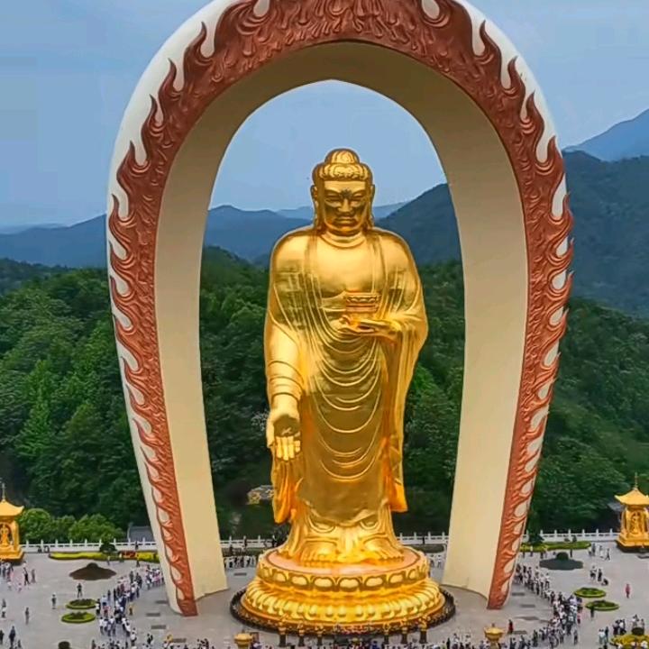 赚步停