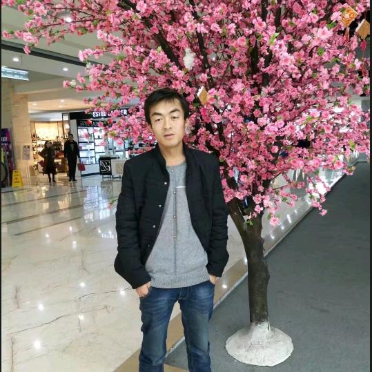 洛川苹果小廉搞钱要紧