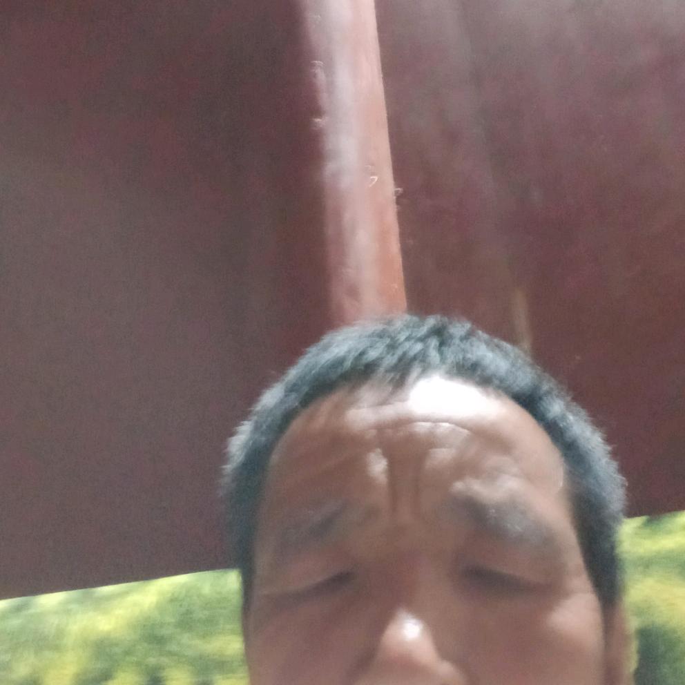 张龙全