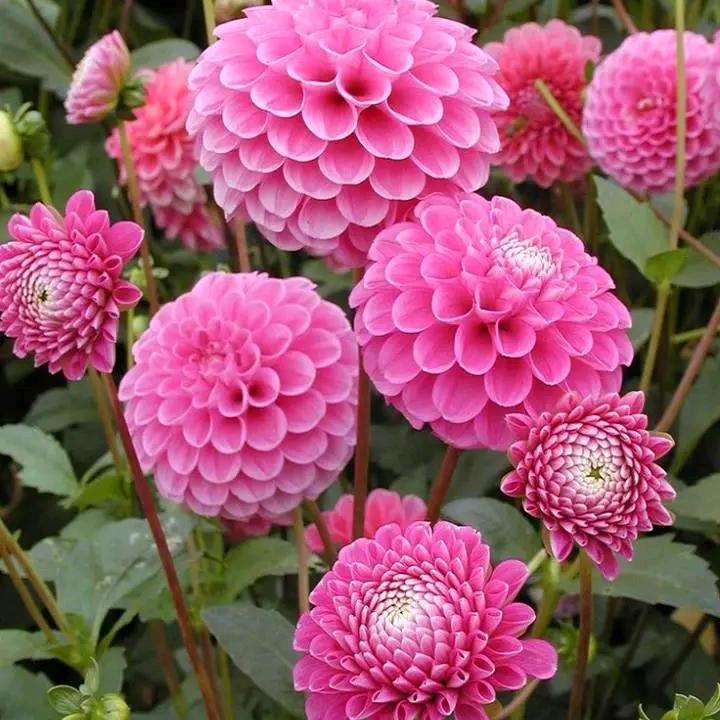 用户我的未来不是梦