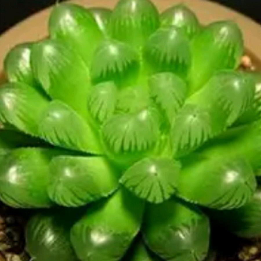 于芹😀😀
