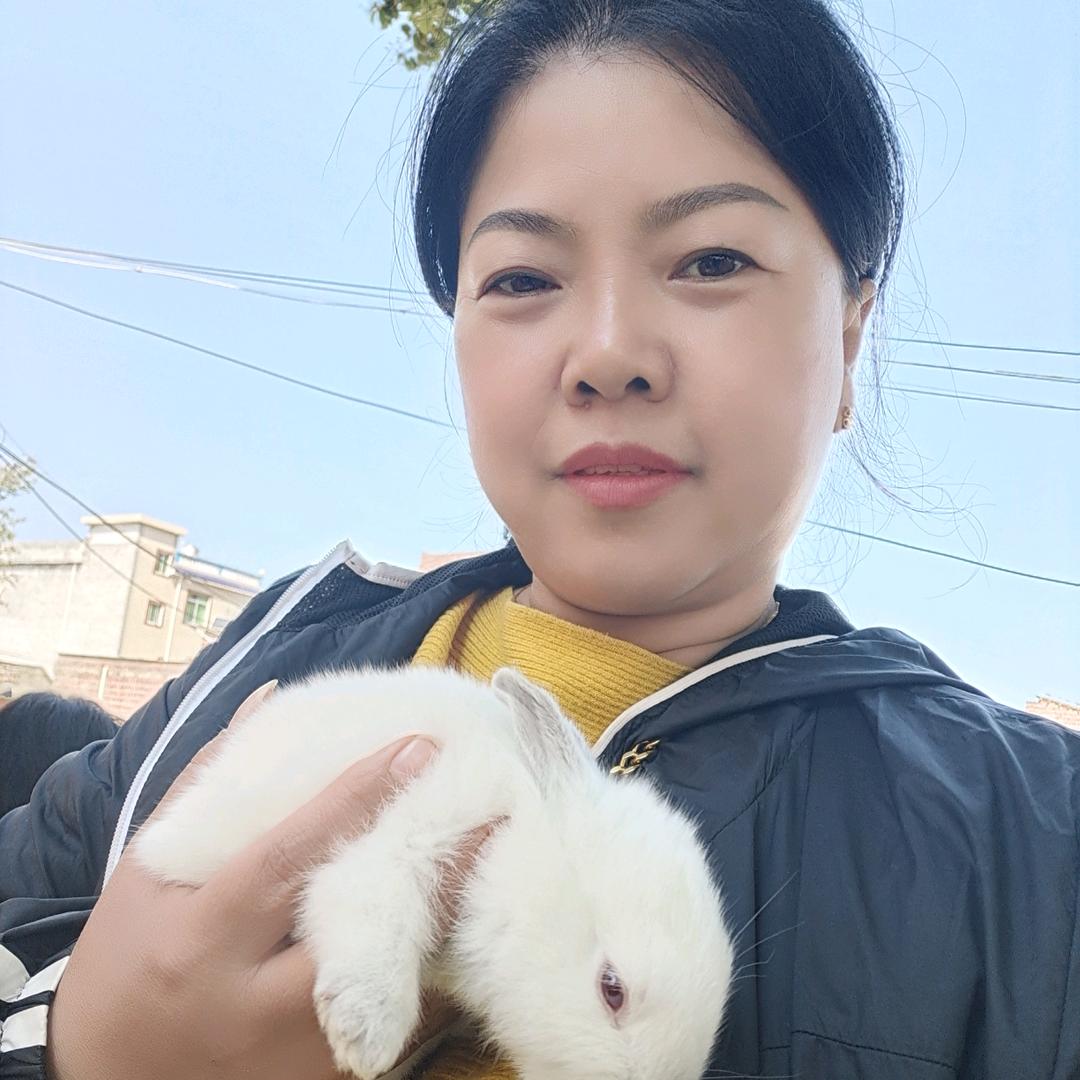 禅运