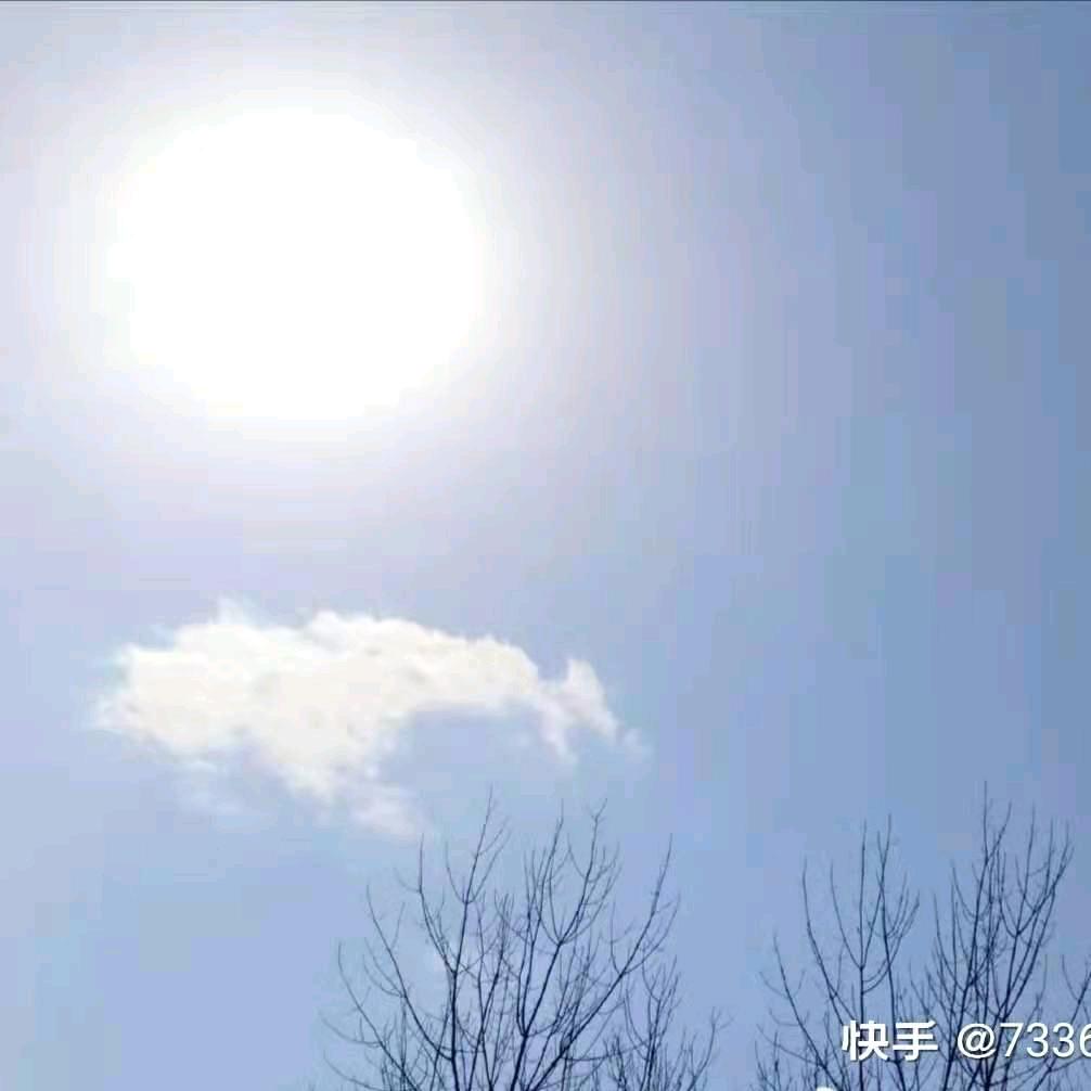 南柯一梦