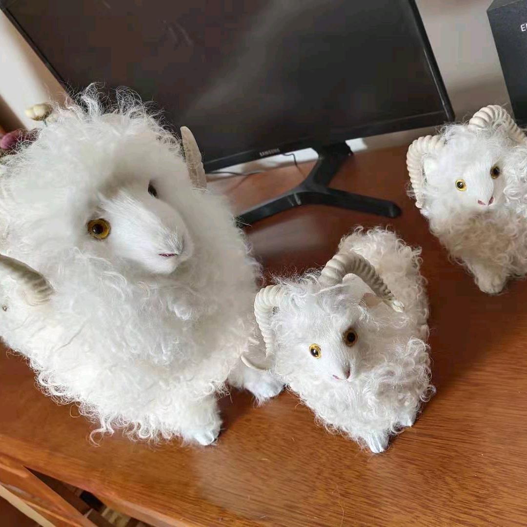 山东中达皮业(藏袍原料)