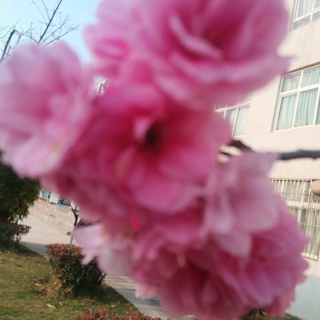 孔姐