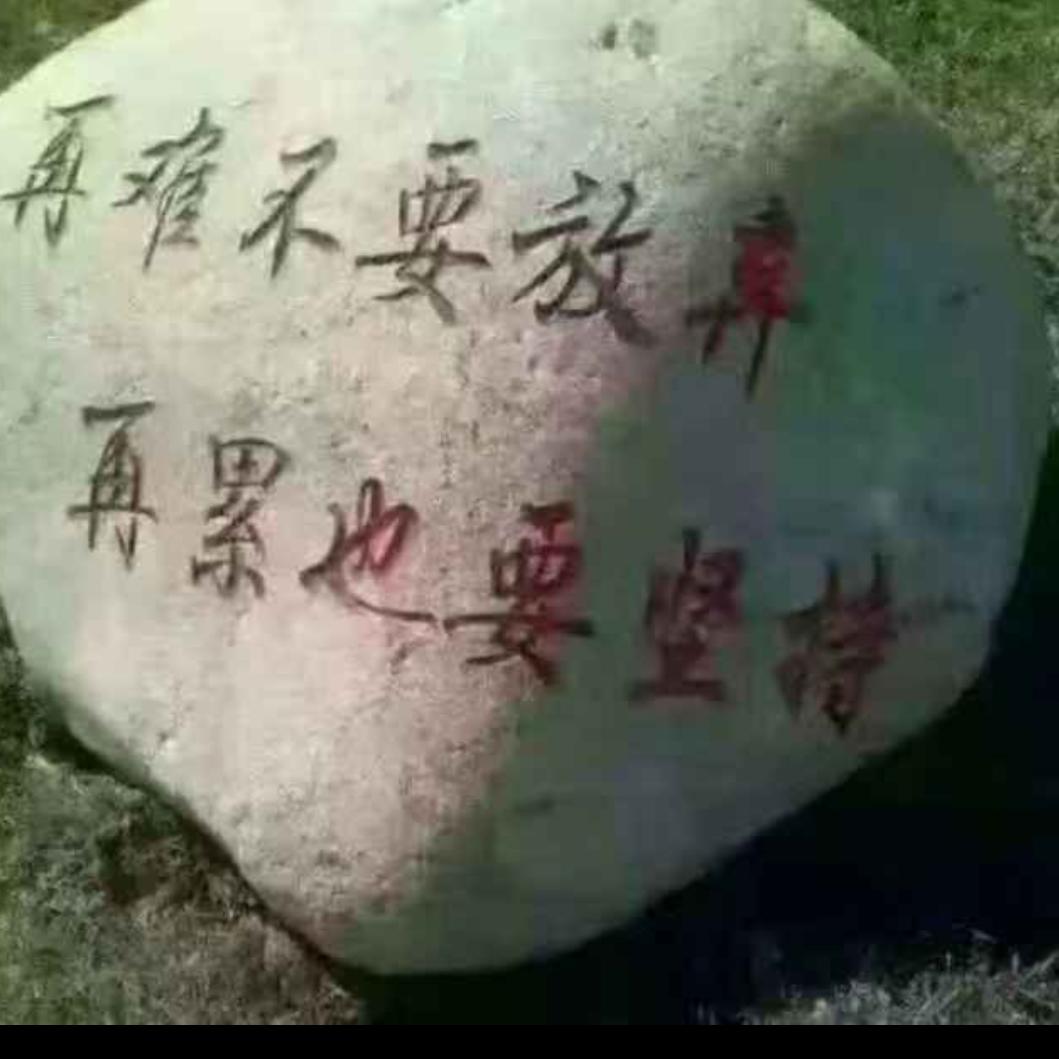 奋斗～ 